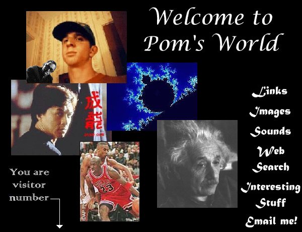POM'S World